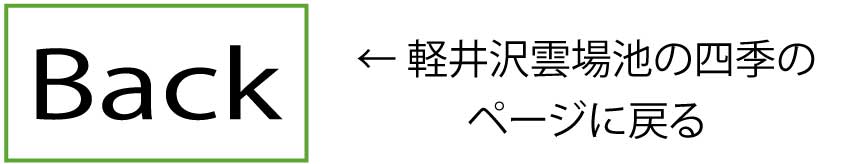←雲場池の四季に戻る