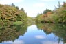 雲場池2013年10月8日