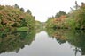 雲場池2013年10月11日