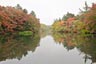雲場池2013年10月23日
