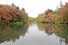 雲場池2013年10月24日