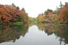 雲場池2013年10月25日