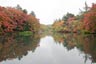 雲場池2013年10月26日