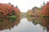 雲場池2013年10月29日