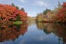 雲場池2013年10月30日