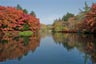 雲場池2013年10月31日