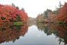 雲場池2013年11月1日