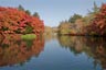 雲場池2013年11月2日
