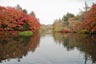 雲場池2013年11月3日