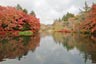 雲場池2013年11月4日