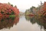 雲場池2013年11月5日
