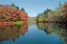 雲場池2013年11月6日