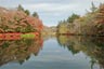 雲場池2013年11月9日