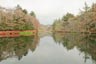 雲場池2013年11月13日