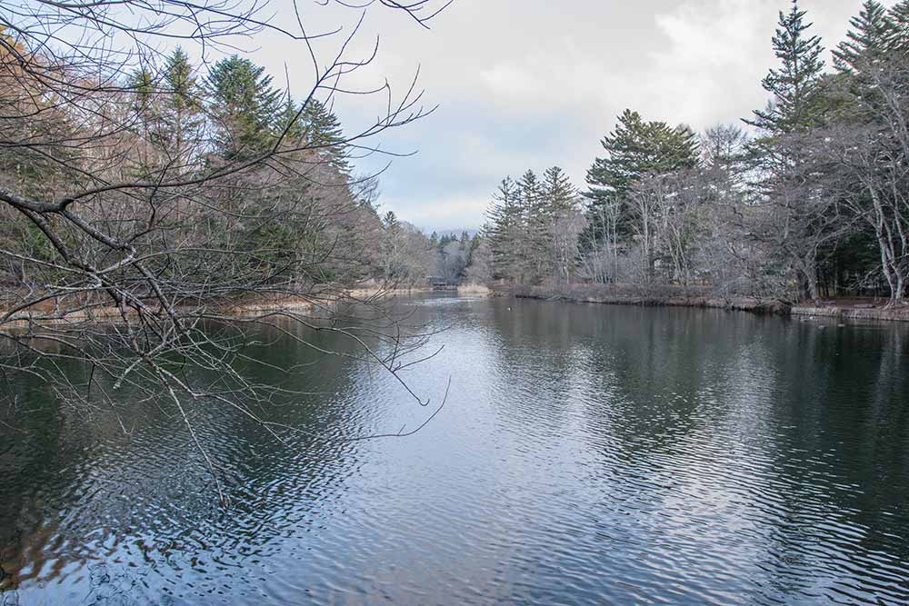 雲場池 2026年2月28日