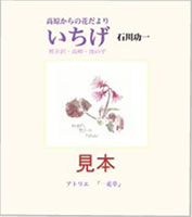 高原からの花だより いちげ