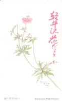 花だより3