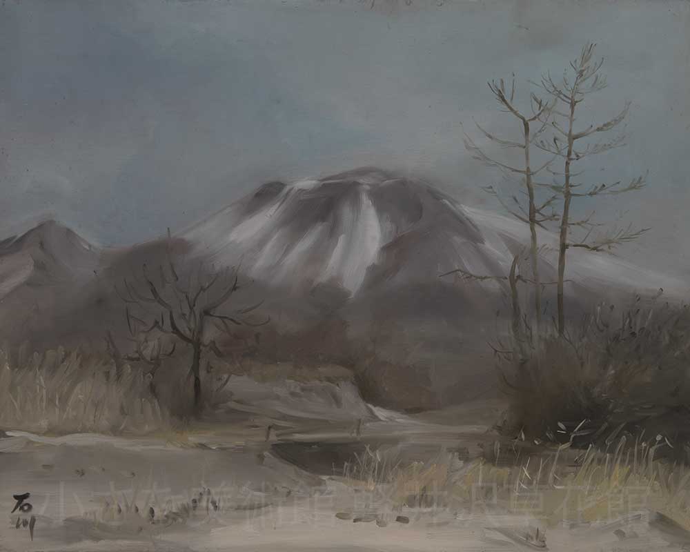 夕焼けのアサマキスゲ