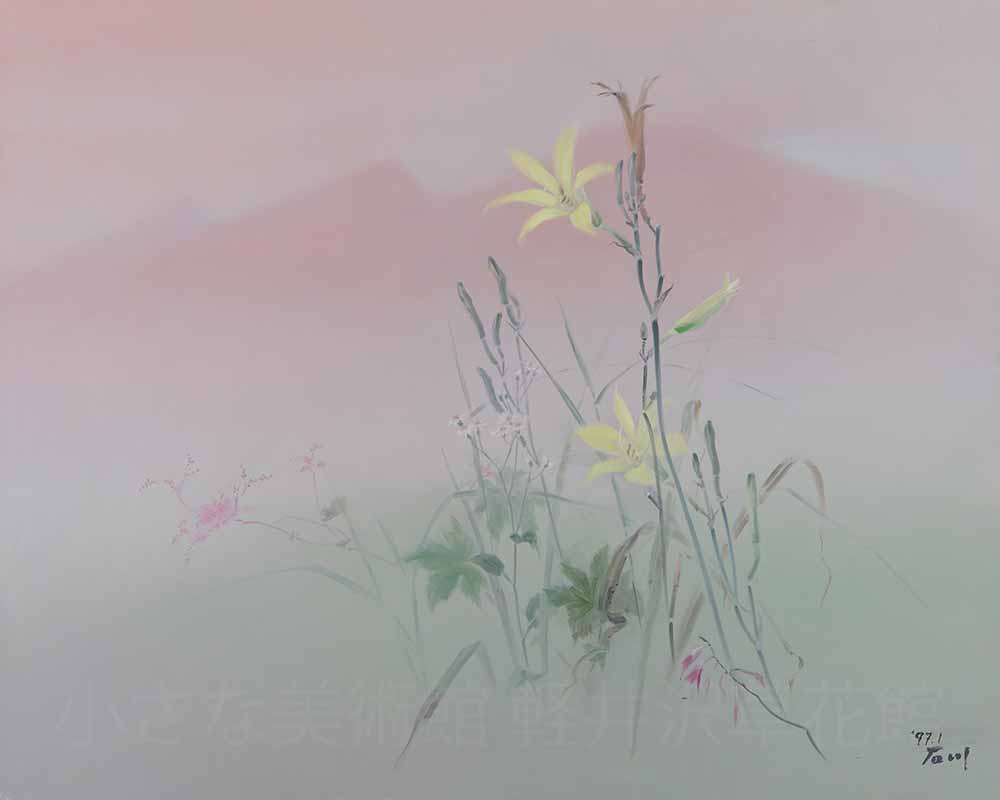 夕焼けのアサマキスゲ