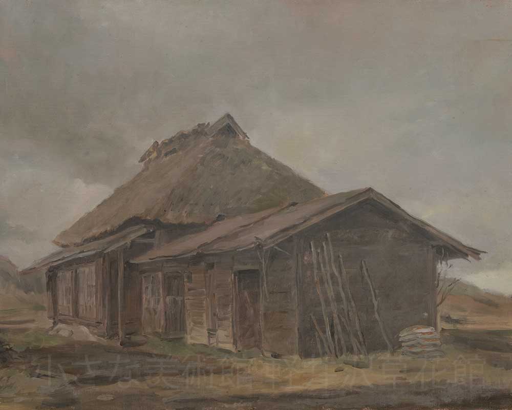 レンゲショウマ